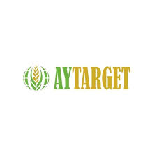 AYTARGET logosu