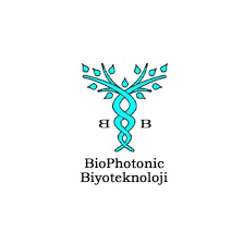 LTS Biophotonic logosu