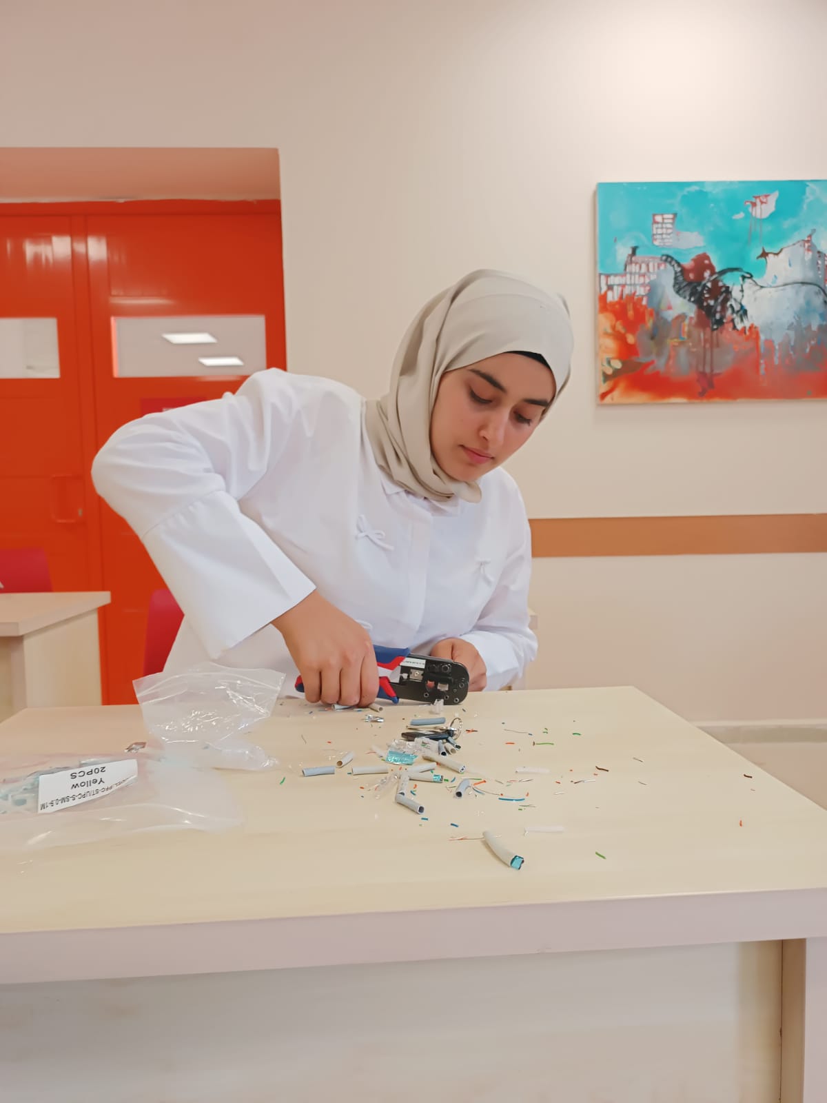 Bilgisayar Programcılığı 2024-2025 Yaz Dönemi Staj Yapan Öğrencilerimiz