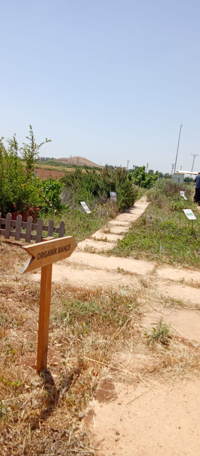 Organik Tarım Programımızın Uygulamalı Dersi